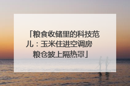 粮食收储里的科技范儿：玉米住进空调房 粮仓披上隔热罩