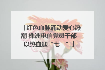 红色血脉涌动爱心热潮 株洲电信党员干部以热血迎“七一”