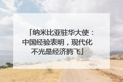 纳米比亚驻华大使：中国经验表明，现代化不光是经济腾飞