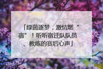 绿茵逐梦，激情燃“宿”！听听宿迁队队员、教练的赛后心声