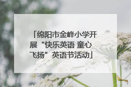 绵阳市金峰小学开展“快乐英语 童心飞扬”英语节活动