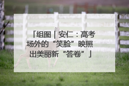 组图｜安仁：高考场外的“笑脸”映照出美丽新“答卷”