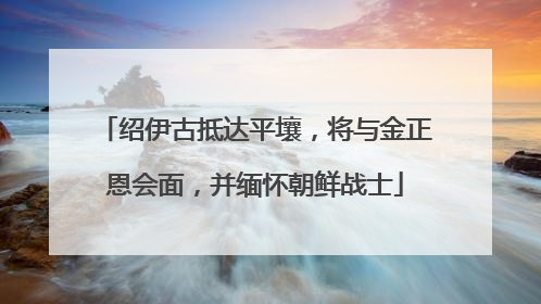 绍伊古抵达平壤，将与金正恩会面，并缅怀朝鲜战士