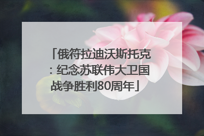 俄符拉迪沃斯托克：纪念苏联伟大卫国战争胜利80周年