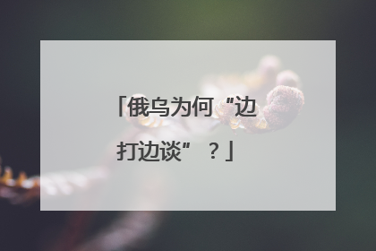 俄乌为何“边打边谈”？