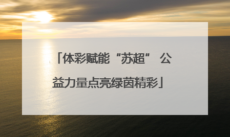体彩赋能“苏超” 公益力量点亮绿茵精彩
