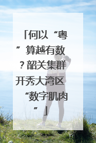 何以“粤”算越有数？韶关集群开秀大湾区“数字肌肉”