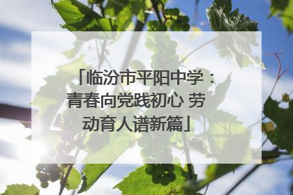 临汾市平阳中学：青春向党践初心 劳动育人谱新篇