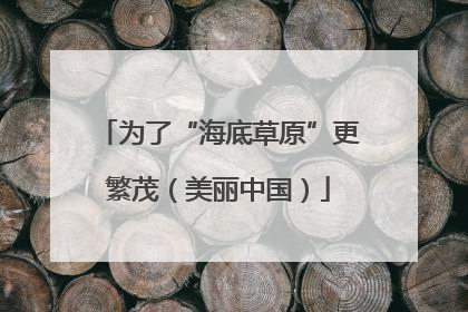 为了“海底草原”更繁茂（美丽中国）