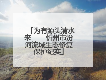 为有源头清水来——忻州市汾河流域生态修复保护纪实