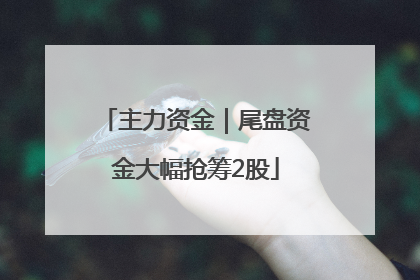 主力资金｜尾盘资金大幅抢筹2股