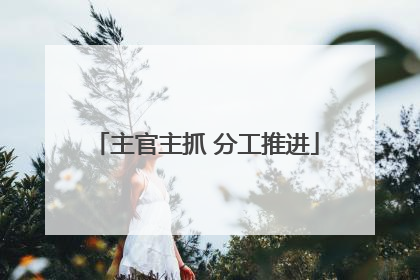 主官主抓 分工推进