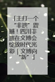 主打一个“非遗”震撼！四川非遗在文博会绽放时代光彩｜文博向“新”