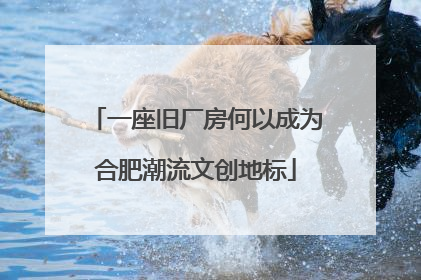 一座旧厂房何以成为合肥潮流文创地标