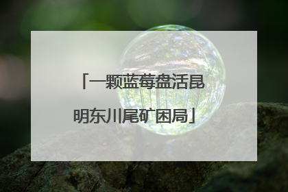一颗蓝莓盘活昆明东川尾矿困局