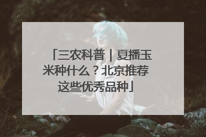 三农科普｜夏播玉米种什么？北京推荐这些优秀品种