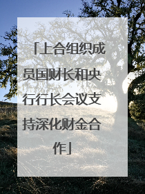 上合组织成员国财长和央行行长会议支持深化财金合作
