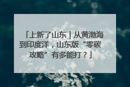 上新了山东｜从黄渤海到印度洋，山东版“零碳攻略”有多能打？