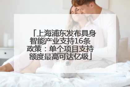 上海浦东发布具身智能产业支持16条政策：单个项目支持额度最高可达亿级