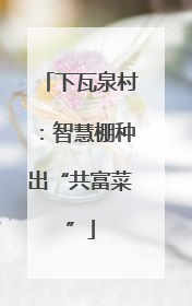 下瓦泉村：智慧棚种出“共富菜”
