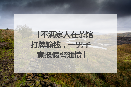 不满家人在茶馆打牌输钱，一男子竟报假警泄愤