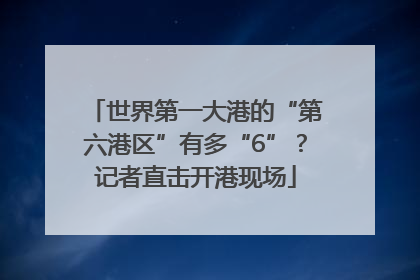 世界第一大港的“第六港区”有多“6”？记者直击开港现场