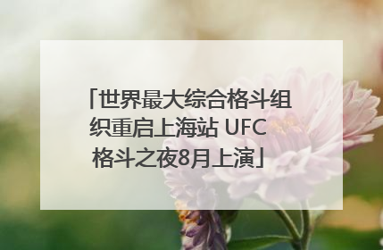 世界最大综合格斗组织重启上海站 UFC格斗之夜8月上演