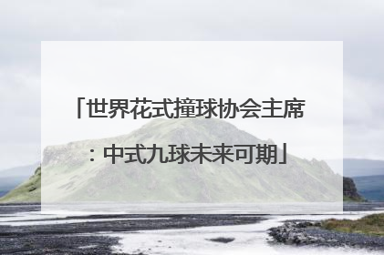 世界花式撞球协会主席：中式九球未来可期