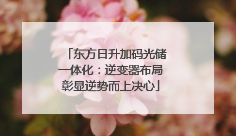 东方日升加码光储一体化：逆变器布局彰显逆势而上决心