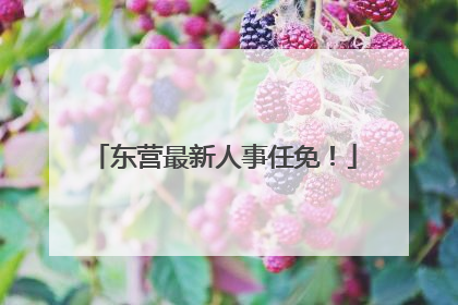 东营最新人事任免！