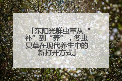 东阳光鲜虫草从“补”到“养”，冬虫夏草在现代养生中的新打开方式