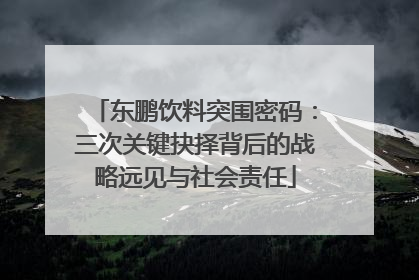 东鹏饮料突围密码：三次关键抉择背后的战略远见与社会责任