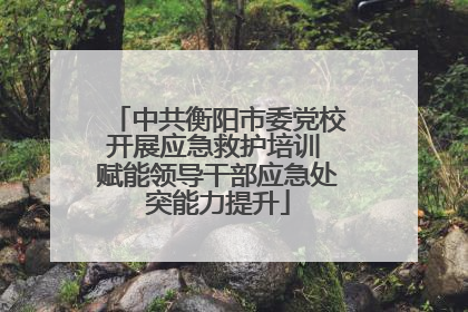 中共衡阳市委党校开展应急救护培训 赋能领导干部应急处突能力提升