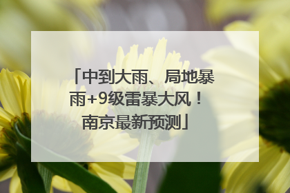 中到大雨、局地暴雨+9级雷暴大风！南京最新预测