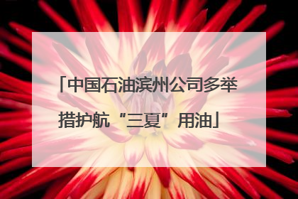 中国石油滨州公司多举措护航“三夏”用油