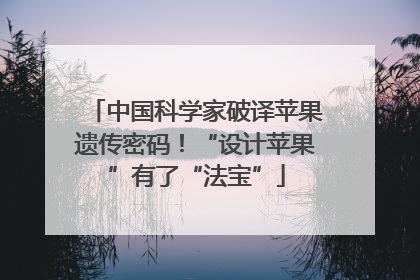 中国科学家破译苹果遗传密码！“设计苹果”有了“法宝”