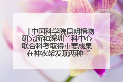 中国科学院昆明植物研究所和深圳兰科中心联合科考取得重要成果 在神农架发现两种“国保”级兰花