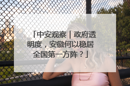 中安观察｜政府透明度，安徽何以稳居全国第一方阵？