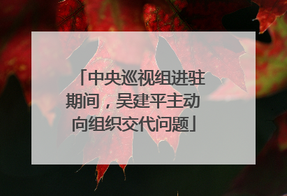 中央巡视组进驻期间，吴建平主动向组织交代问题