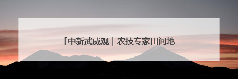 中新武威观｜农技专家田间地头“把脉开方”送“及时雨”