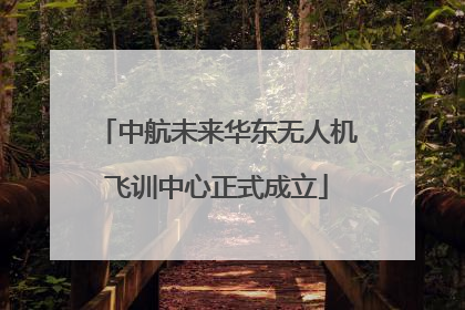 中航未来华东无人机飞训中心正式成立