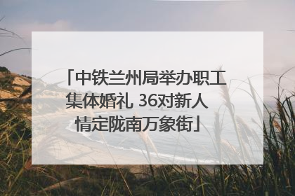 中铁兰州局举办职工集体婚礼 36对新人情定陇南万象街
