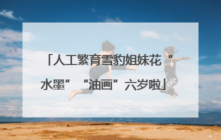 人工繁育雪豹姐妹花“水墨”“油画”六岁啦
