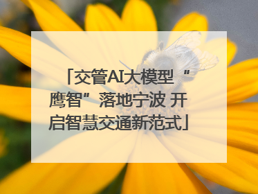 交管AI大模型“鹰智”落地宁波 开启智慧交通新范式