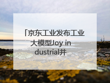 京东工业发布工业大模型Joy industrial并启动上海“链动众城 万亿降本”计划