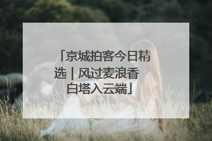 京城拍客今日精选｜风过麦浪香 白塔入云端