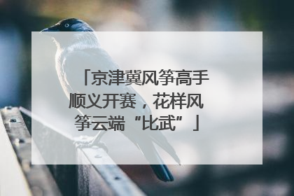 京津冀风筝高手顺义开赛，花样风筝云端“比武”