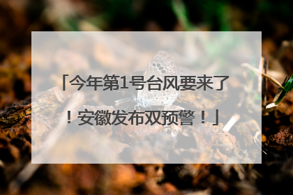 今年第1号台风要来了！安徽发布双预警！