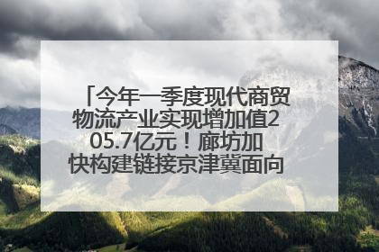 今年一季度现代商贸物流产业实现增加值205.7亿元！廊坊加快构建链接京津冀面向全世界的物流通道