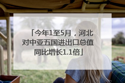今年1至5月，河北对中亚五国进出口总值同比增长1.1倍